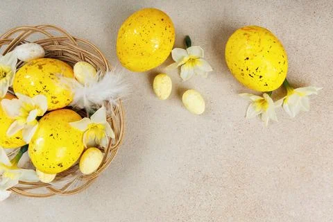 Flat lay with Easter nest, yellow eggs and daffodils Fotos Stock