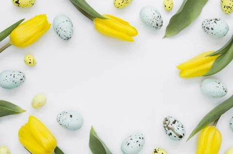 Flat lay eggs easter with tulips frame Stock Photos
