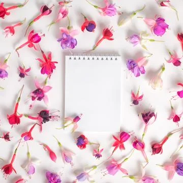 Flat lay of empty notebook and heads hybrid colorful fuchsia flowers on whi.. 写真素材