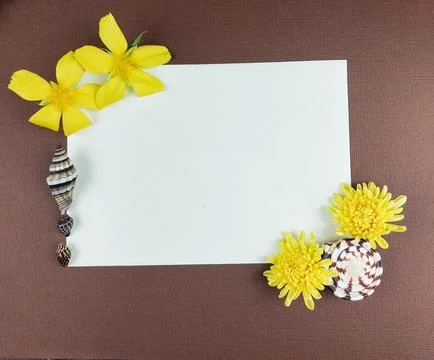Flat Lay Envelope and Seashells on Brown Texture for Summer Theme. Stock Photos