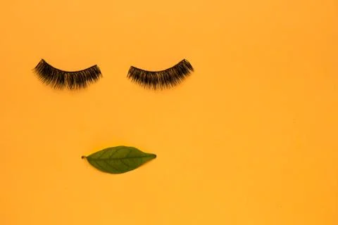 Flat lay of eyelashes and leaf Stock Photos
