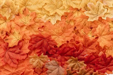 Flat lay fall leaves surface. High quality photo Stock Photos