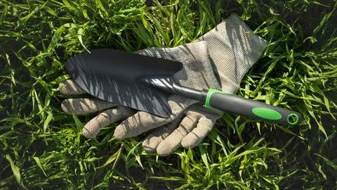 Flat lay featuring essential gardening tools for product marketing. A black m Stock Photos