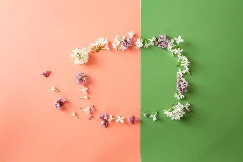 Flat lay floral pattern with blooming lilac flowers Stock Photos