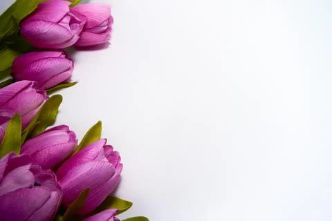 Flat lay flower composition, top view of purple flower on white background wi Stockfoto's