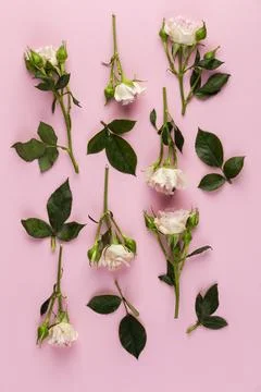 Flat lay flowers collection on table Stock Photos