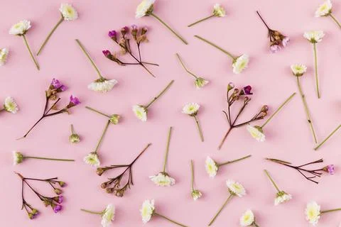Flat lay flowers collection on table Stock Photos