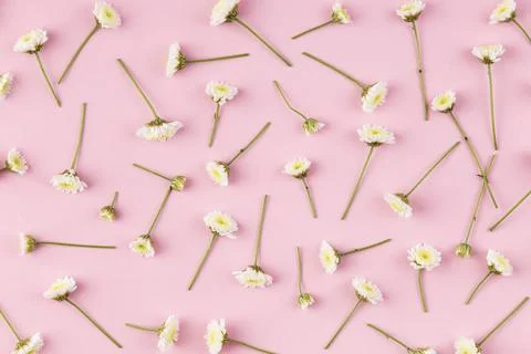 Flat lay flowers collection on table Stock Photos