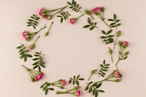 Flat lay flowers collection on table Stock Photos