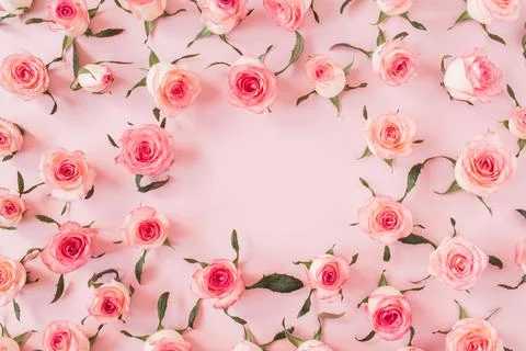Flat lay frame border with blank copy space mockup made of pink rose flower b Stock Photos