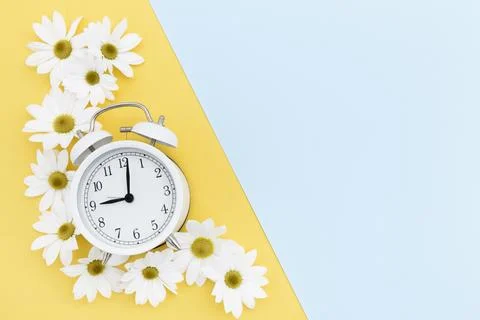 Flat lay frame with clock daisies Stock Photos