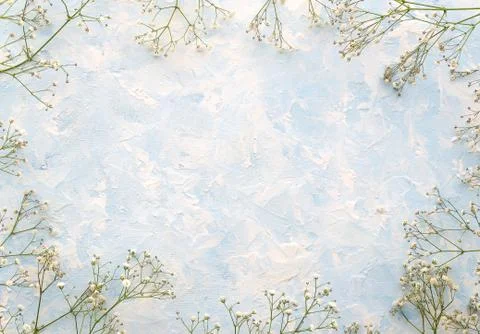 Flat lay frame made of flowers on duotone background with copy space for Stock Photos