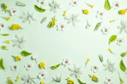 Flat lay frame from spring flowers on a light green background. View from above Stock Photos