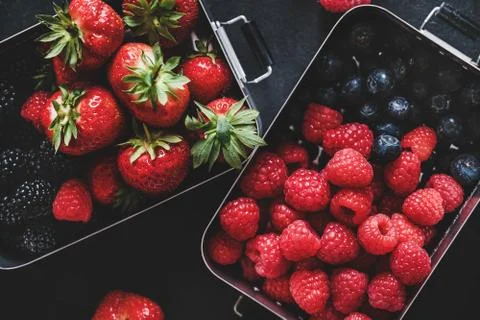 Flat-lay of fresh berries in lunchboxes over dark background, close-up Stock Photos