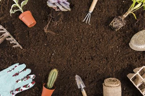 Flat lay gardening composition with copyspace 1. High quality photo Stock Photos