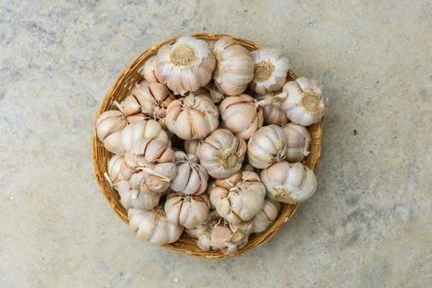Flat lay garlic in the basket Stock Photos