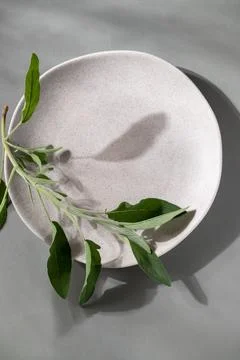 Flat lay of gray monochrome plates with tomatoes and sage. Stock Photos