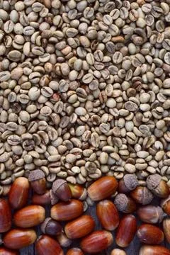 Flat lay  of   green   coffee beans and acorn on wooden  background Stock Photos