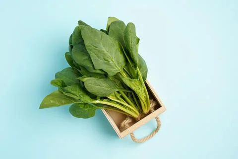 Flat lay green fresh bundle of spinach in wooden box on paper blue background Stock Photos