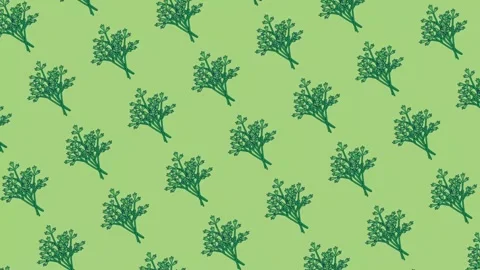 Flat lay green fresh celery leaves icon illustration animation 스톡 동영상 308061830