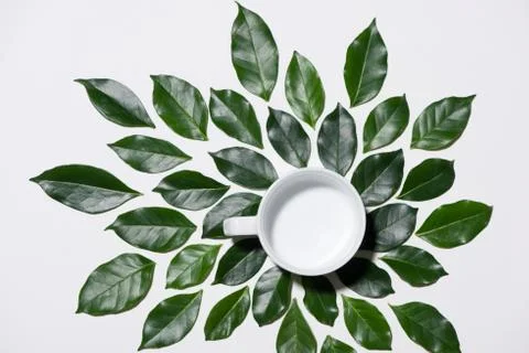Flat lay of green leaves pattern with cup of milk on white background Stock Photos