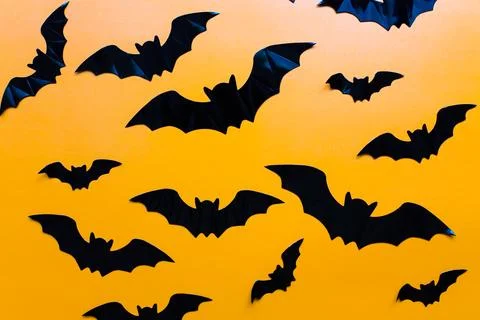 Flat lay halloween. Bats pattern on orange background Stock Photos