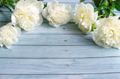 Flat lay layout holiday card with place for your text, beautiful white peonies Stock Photos