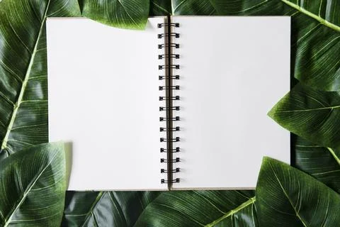 Flat lay of layout made leaves with white paper frame. Stock Photos