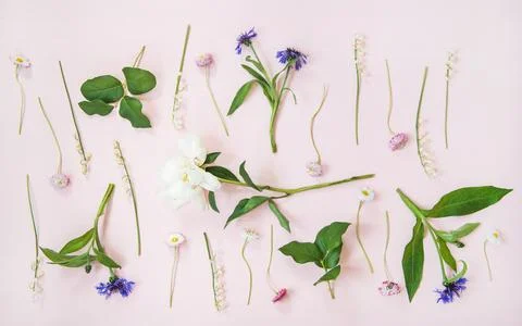 Flat-lay of lily of the valley, cornflower, daisy and peony garden flowers 스톡 사진