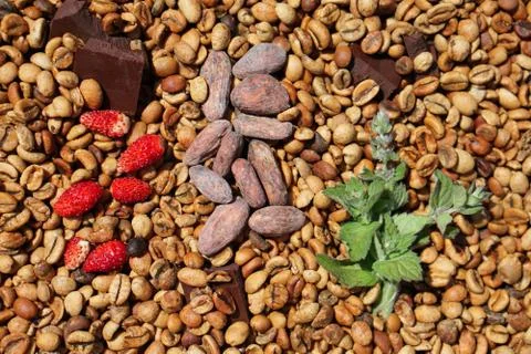 Flat lay  of medium roas bean coffee as background with  mint, cocoa, strawbe Stock Photos