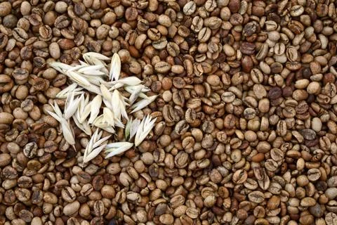 Flat lay  of medium roas bean coffee as background with  oats Stock Photos