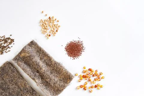 Flat lay microgreen starter kit on white background Stock Photos