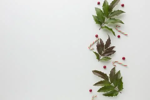 Flat lay mistletoe with candy cane. High quality photo Stock Photos