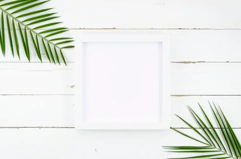 Flat lay mockup made of white frame with palm leaves on corners. Copy space for Stock Photos