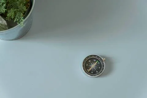 Flat lay nature concept Stock Photos