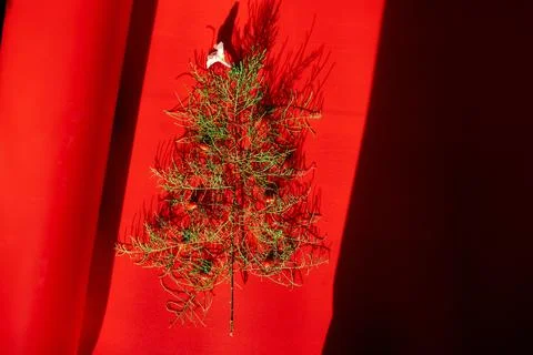 Flat Lay Of needle Leaves In A Shape Of A Christmas Tree with flower and berr Stock Photos
