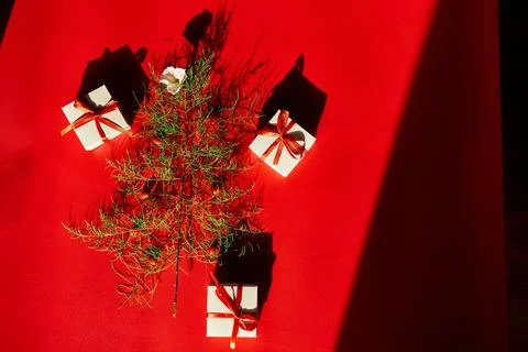 Flat Lay Of needle Leaves In A Shape Of A Christmas Tree with flower and berr Stock Photos
