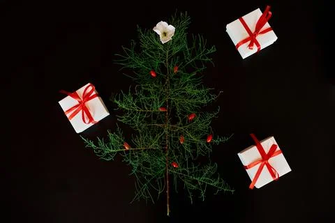 Flat Lay Of needle Leaves In A Shape Of A Christmas Tree with flower and berr Stock Photos