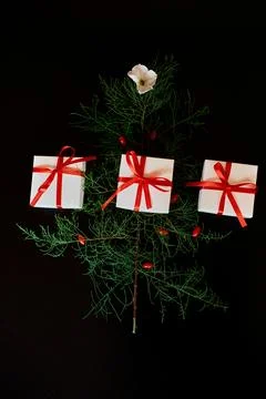 Flat Lay Of needle Leaves In A Shape Of A Christmas Tree with flower and berr Stock Photos