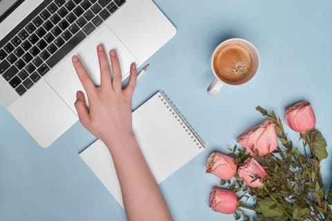 Flat lay notebook, cup of coffee, pink roses and hand on blue background Stock Photos