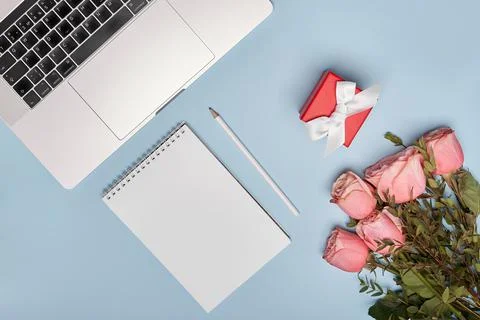 Flat lay notebook, notepad, pencil, present and pink roses on blue background Stock Photos