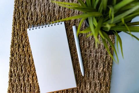 Flat lay of notebook, pen and plant Stock Photos