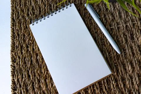 Flat lay of notebook, pen and plant Foto stock