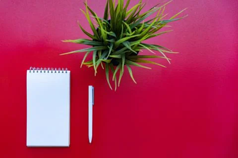 Flat lay of notebook, pen and plant Stock Photos