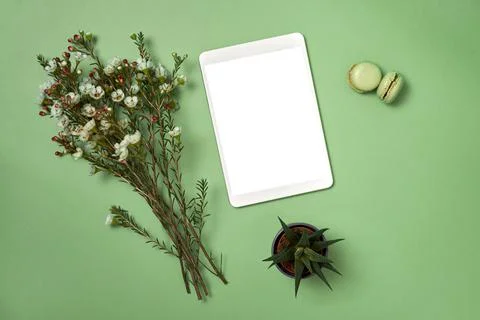 Flat lay notepad and flowers and macaroons on green background Stock Photos