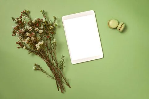 Flat lay notepad and flowers and macaroons on green background Stock Photos