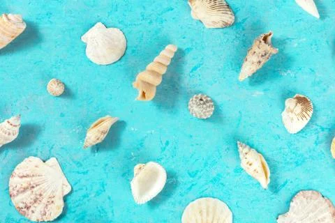 Flat lay ocean pattern with sea shells, overhead shot Stock Photos