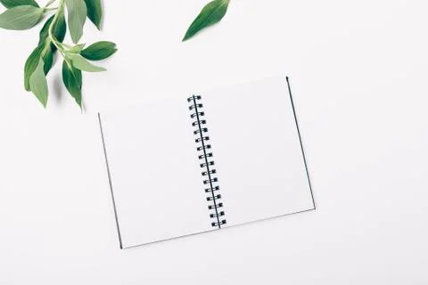 Flat lay open blank notebook and fresh green leaves Fotos Stock