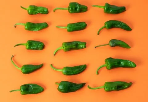 Flat lay Padron peppers pattern on orange background. Top view Foto stock