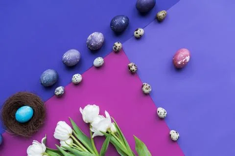 Flat lay with painted eggs with nest and spring flowers on background in purp Photos